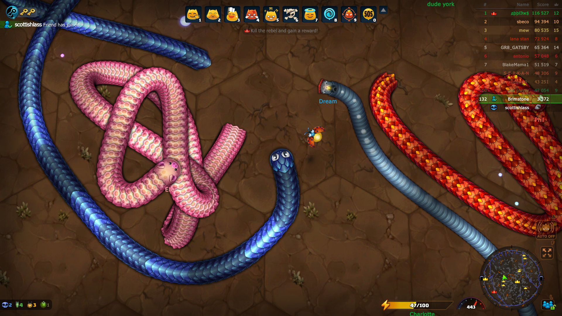 snake-0.jpg