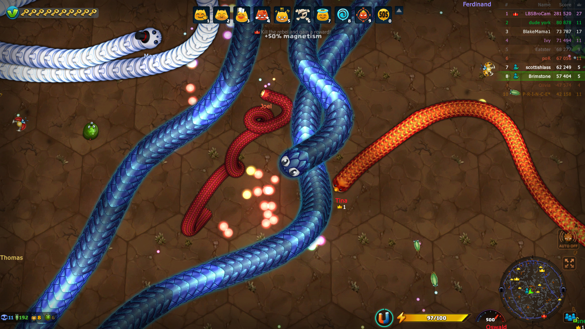 snake-11.jpg