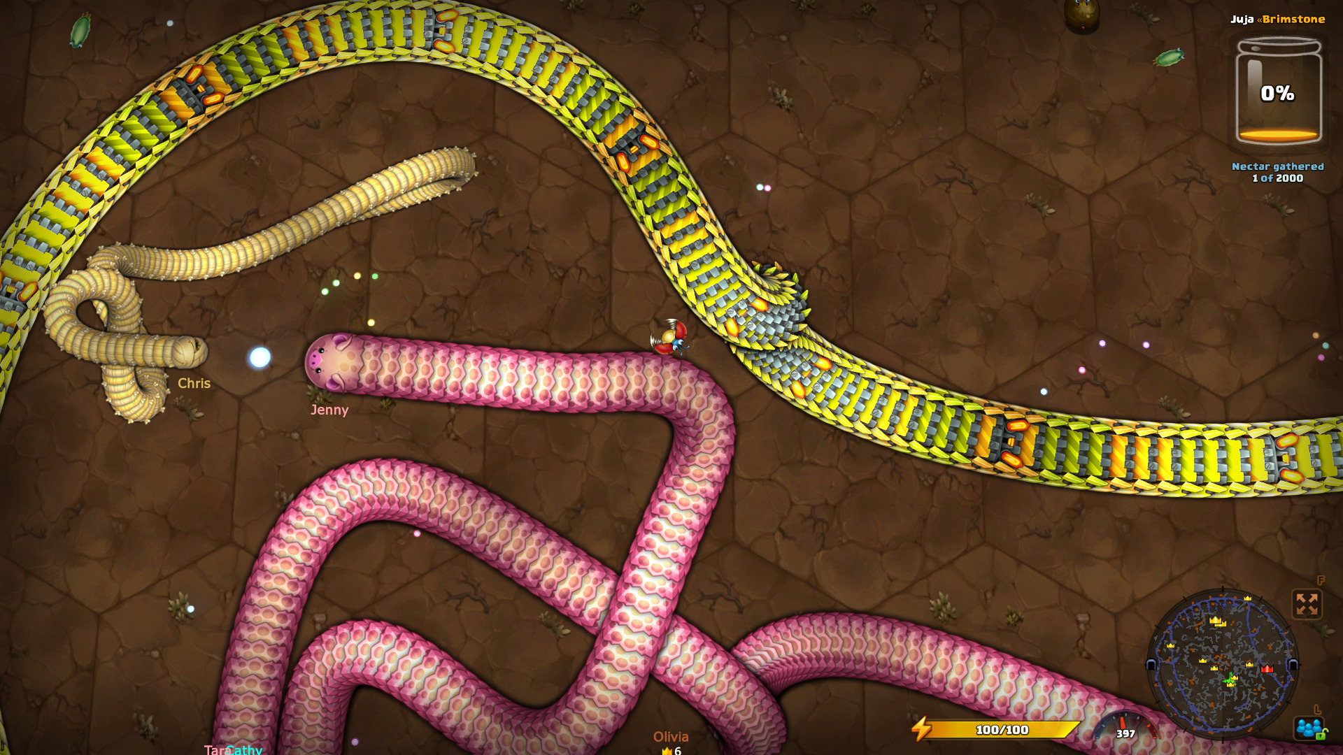 snake-15.jpg