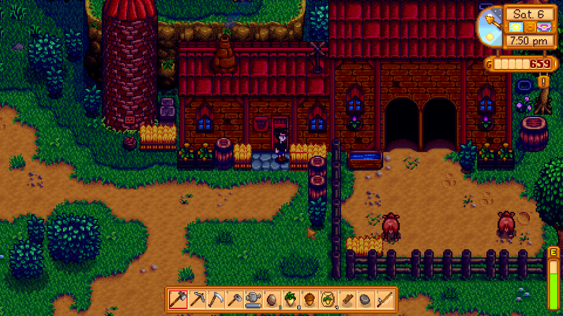stardew-12.jpg