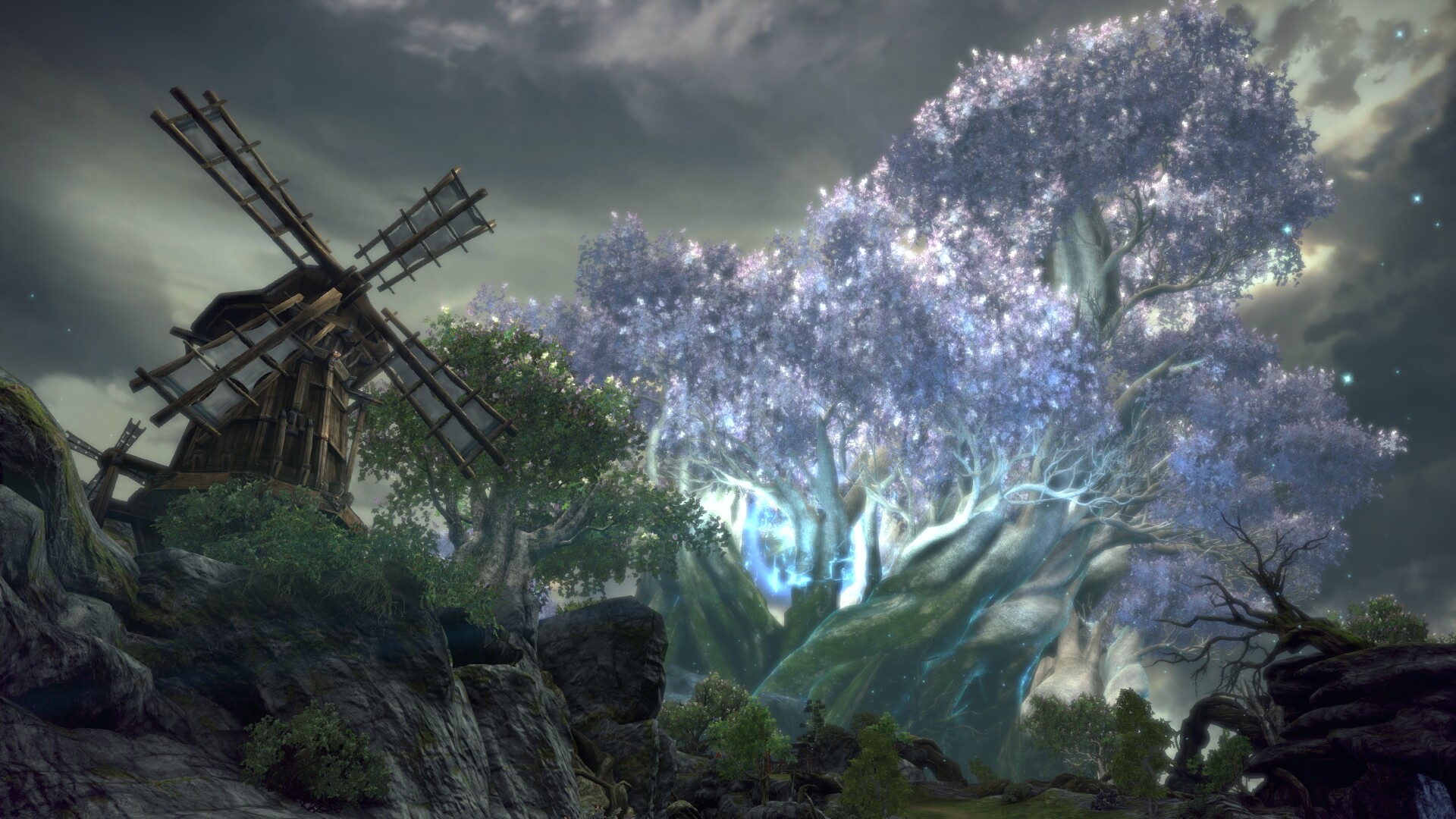 tera113.jpg