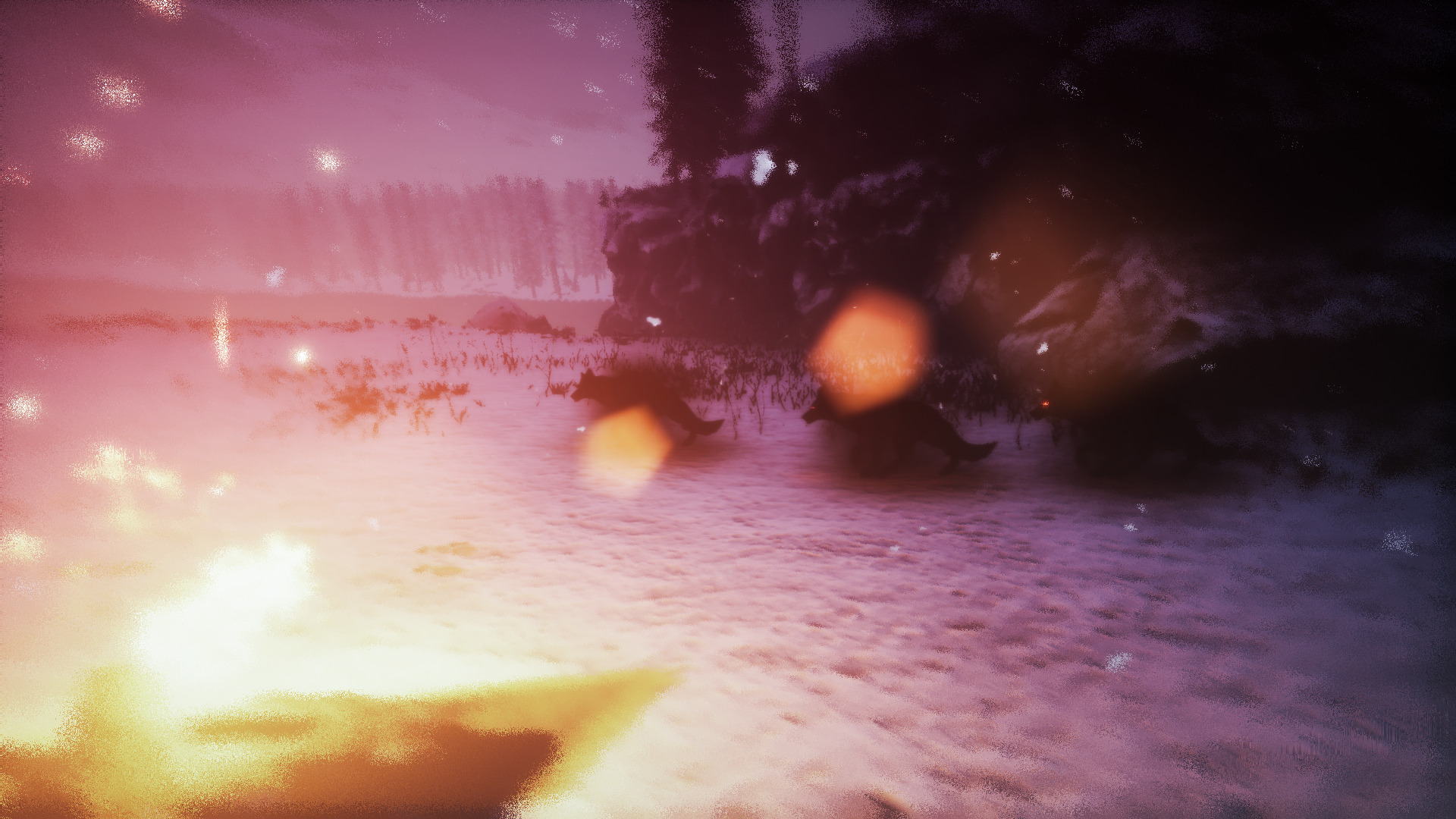 thaw-8.jpg
