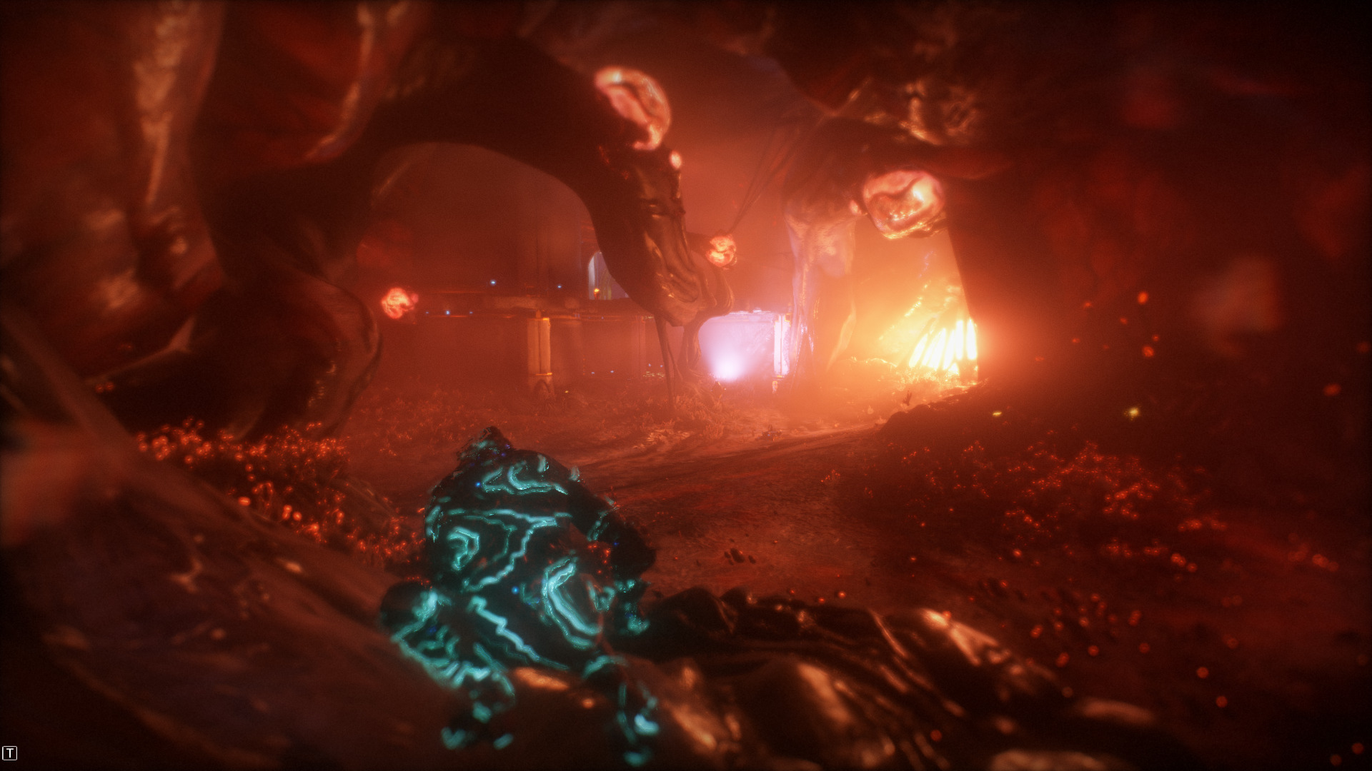 warframe-8.jpg