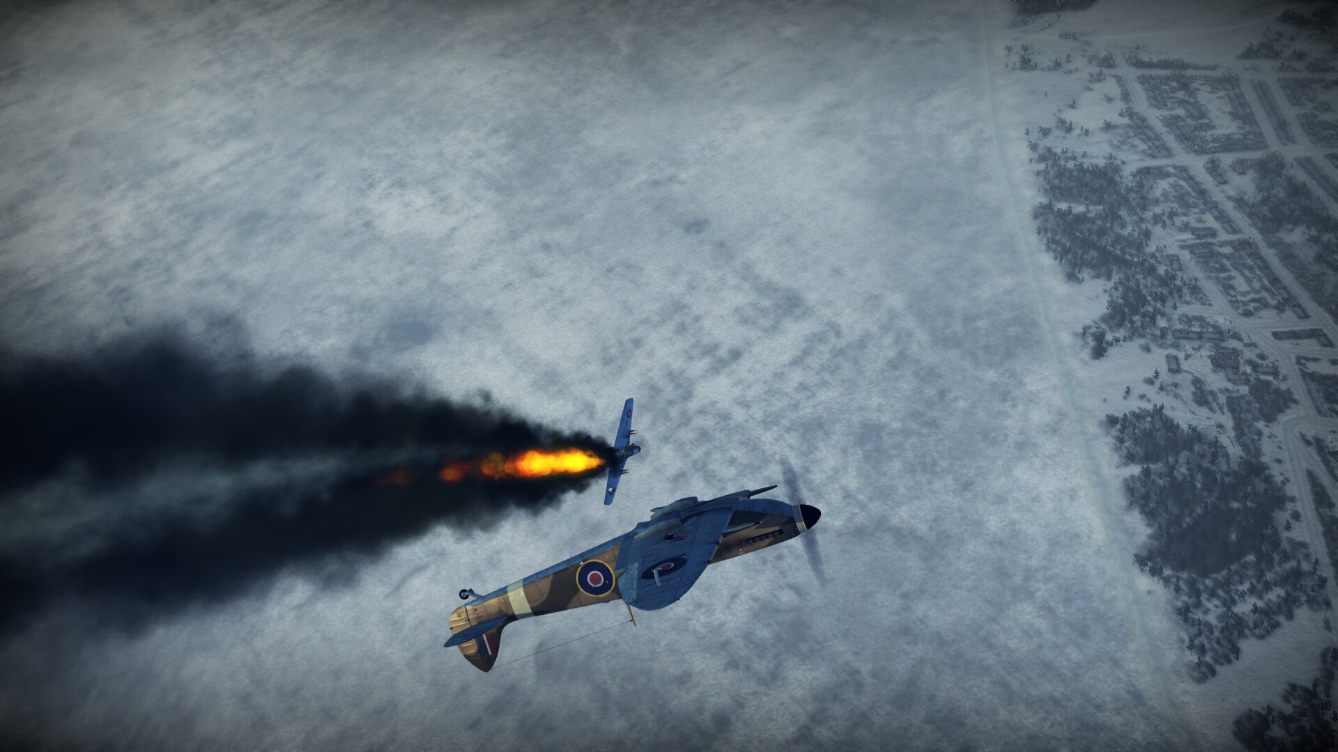 wingsofprey110.jpg