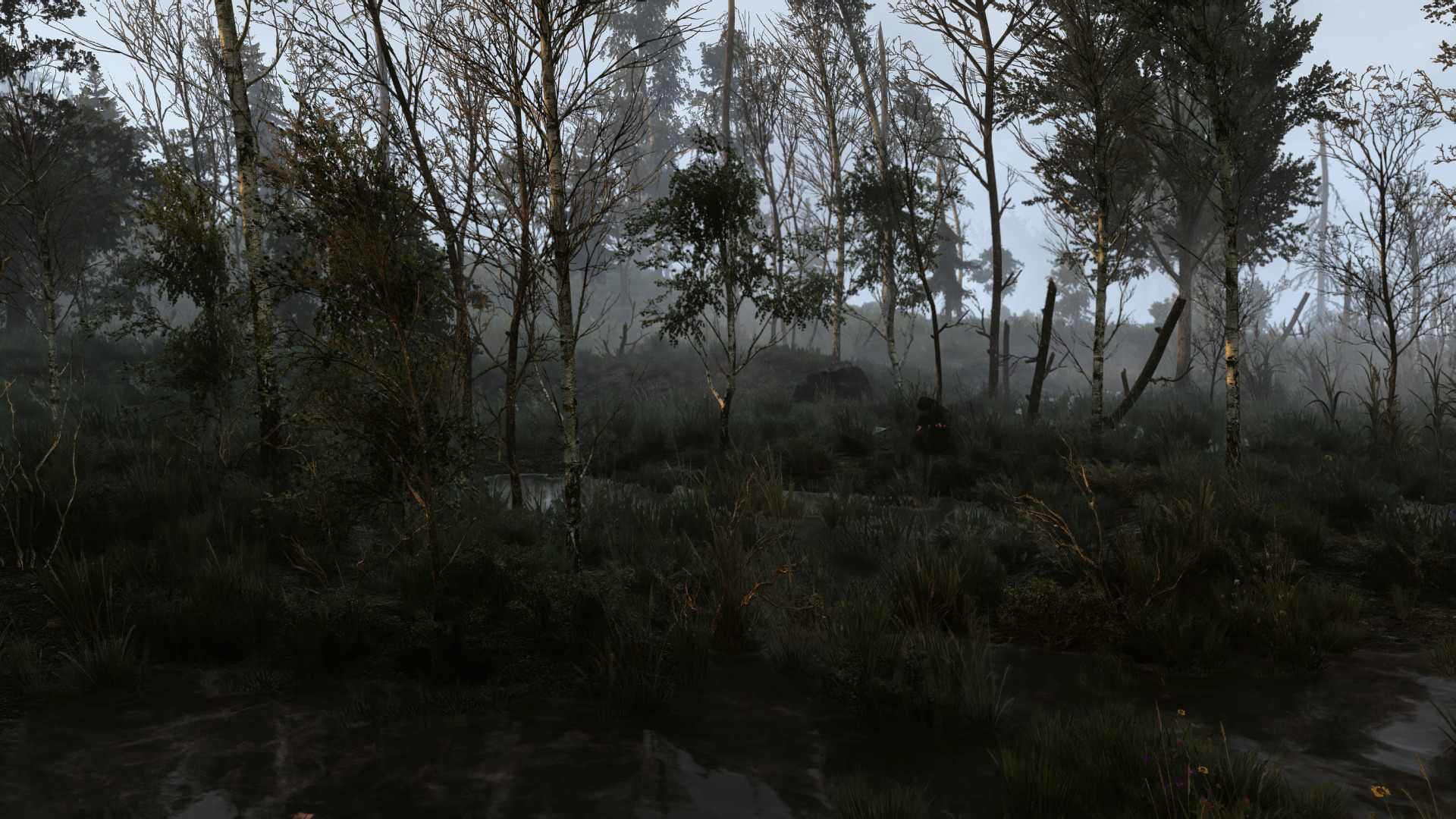 witcher-19.jpg