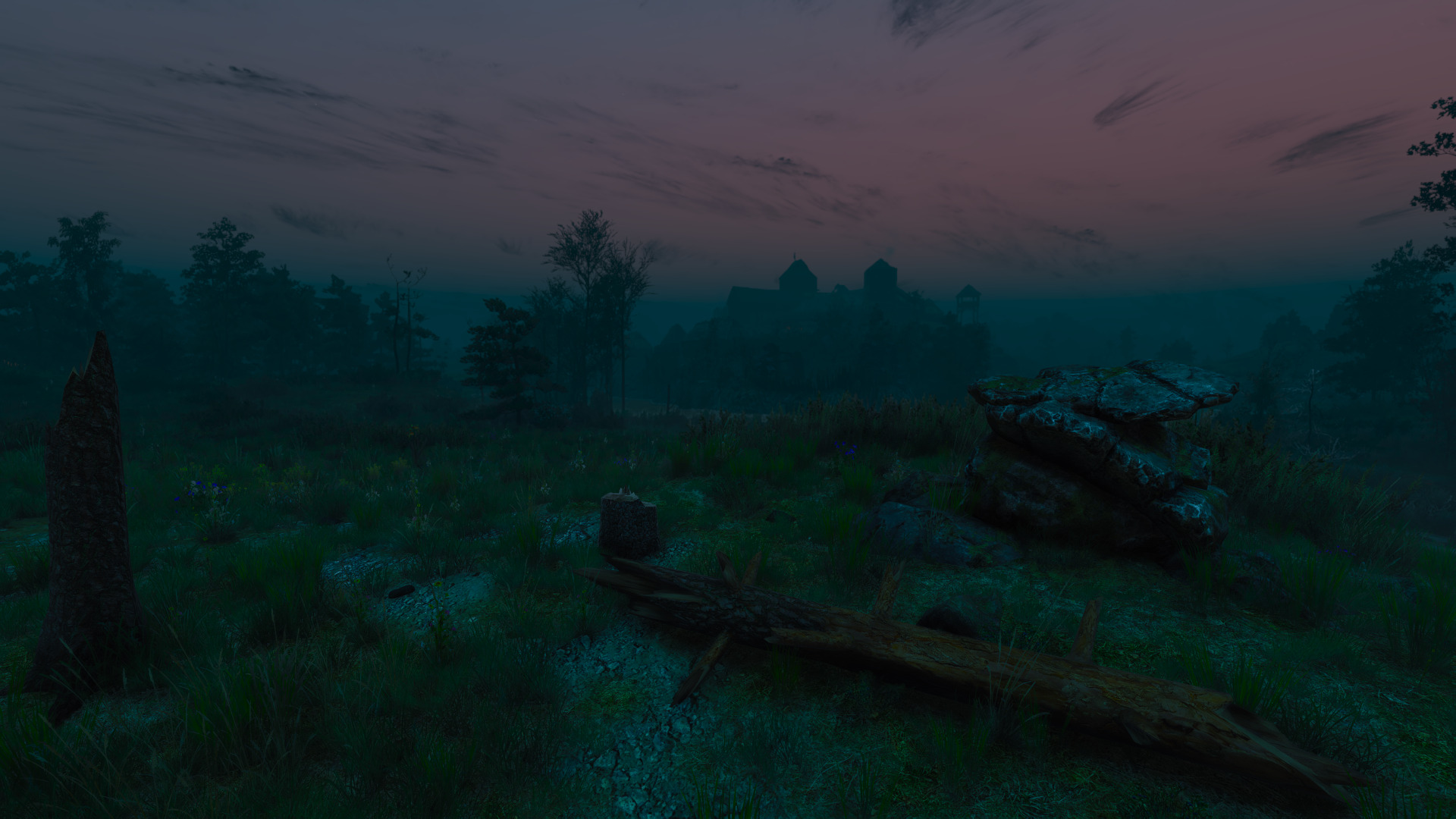 witcher-27.jpg