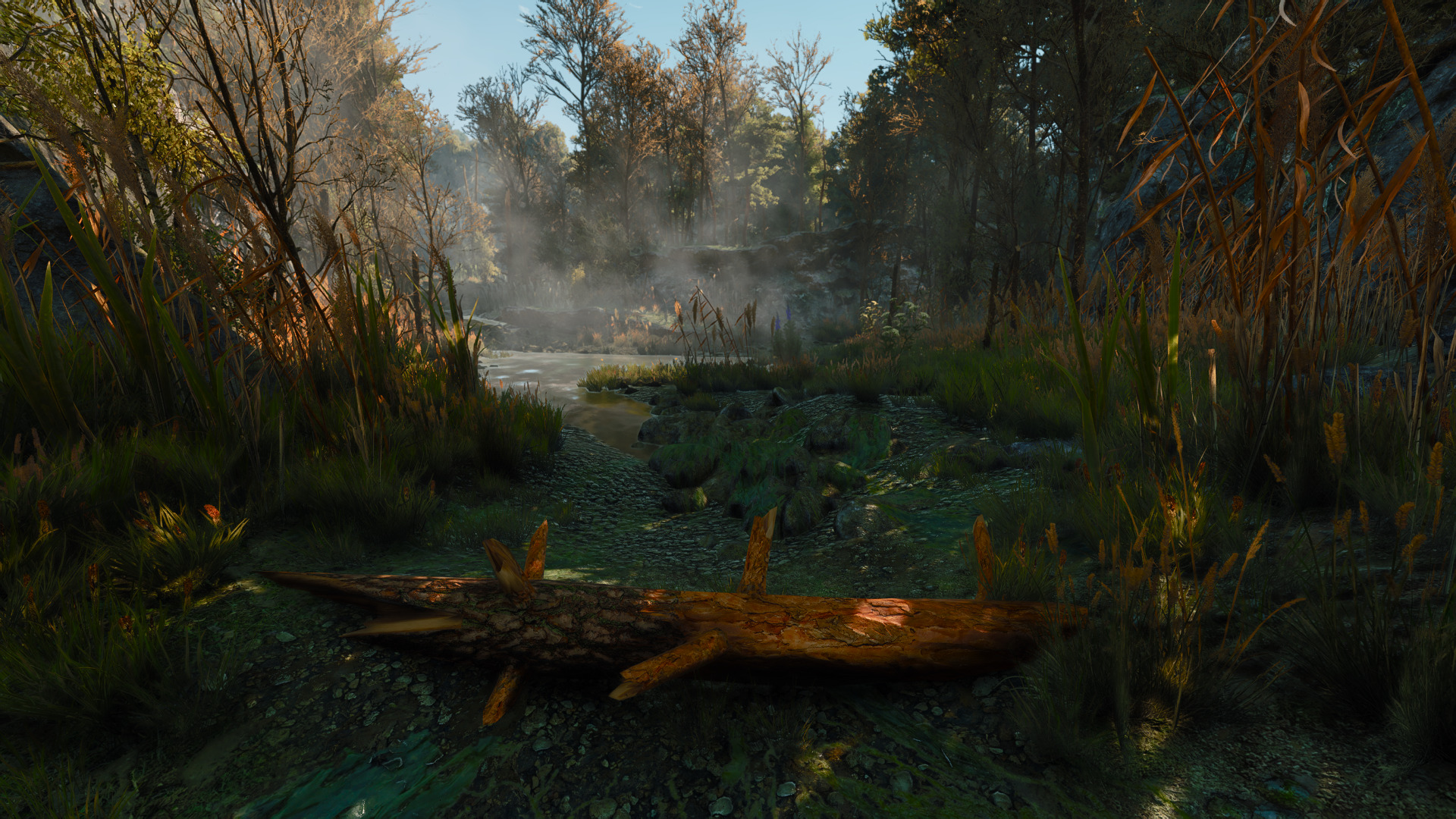 witcher-28.jpg