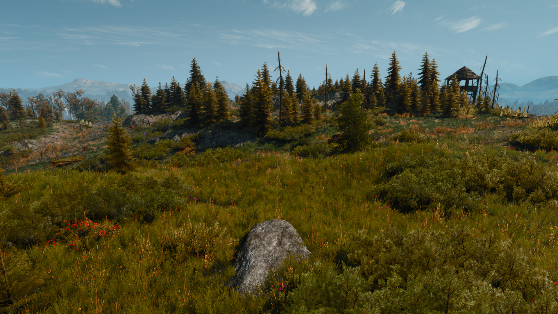 witcher-29.jpg