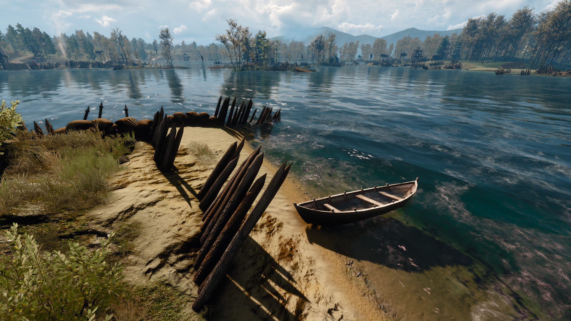 witcher-31.jpg