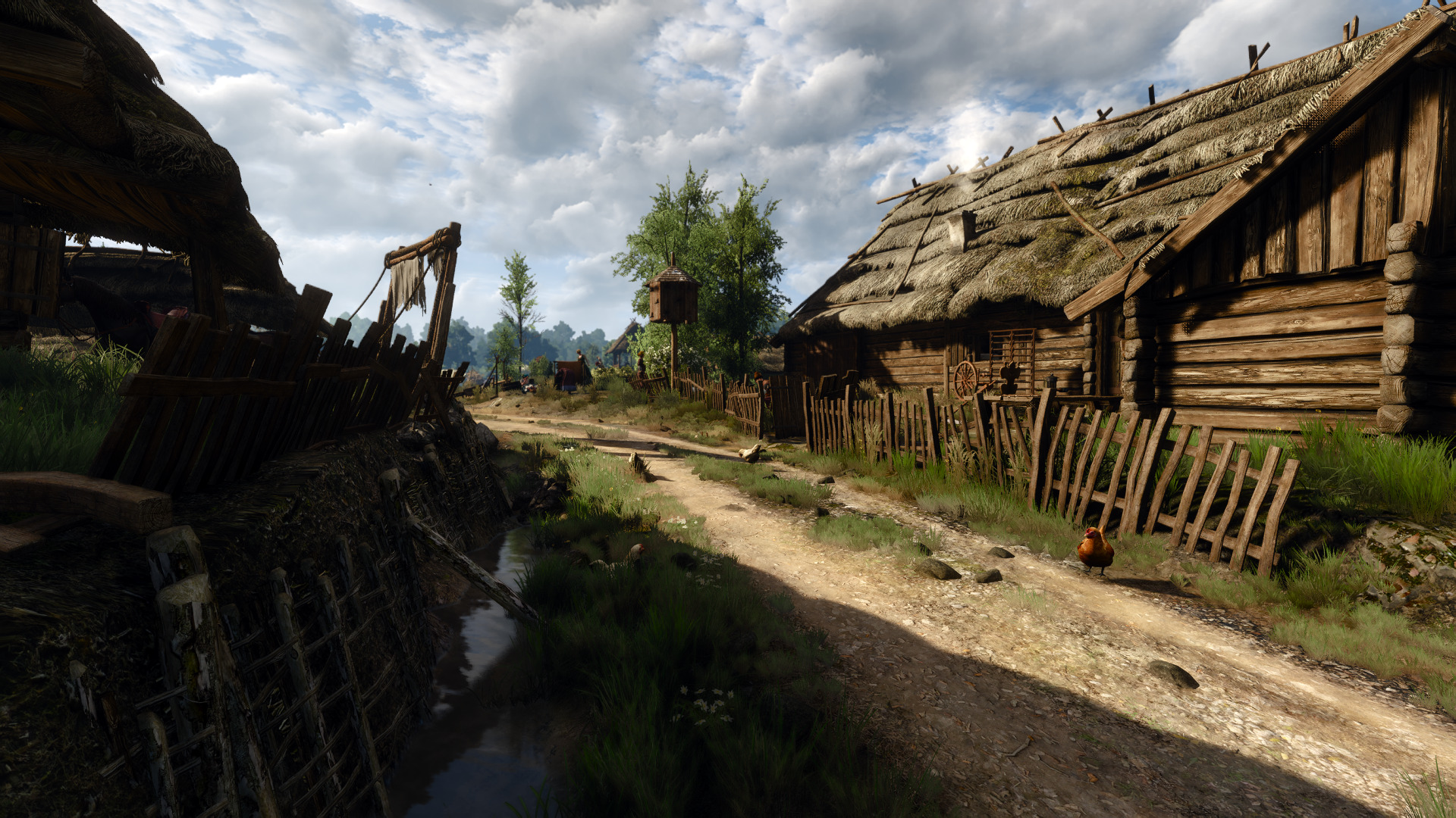 witcher-4.jpg