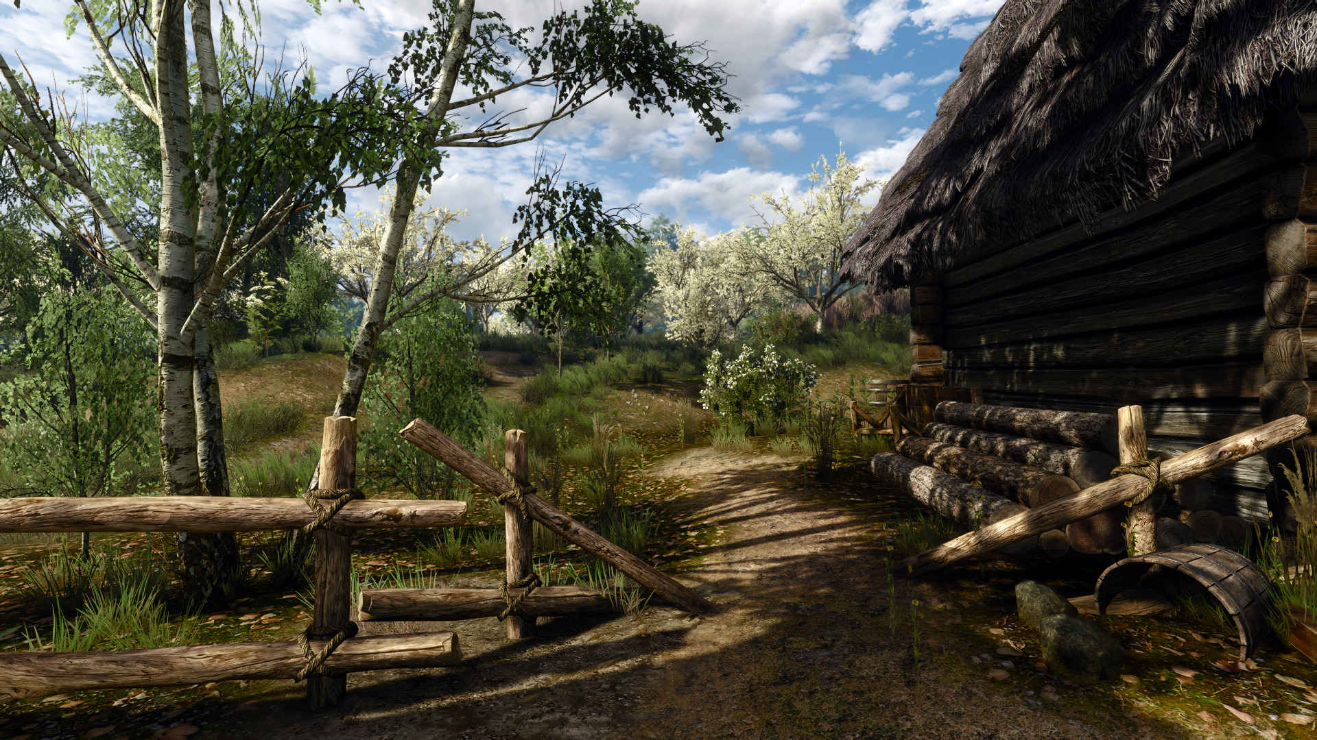 witcher-5.jpg