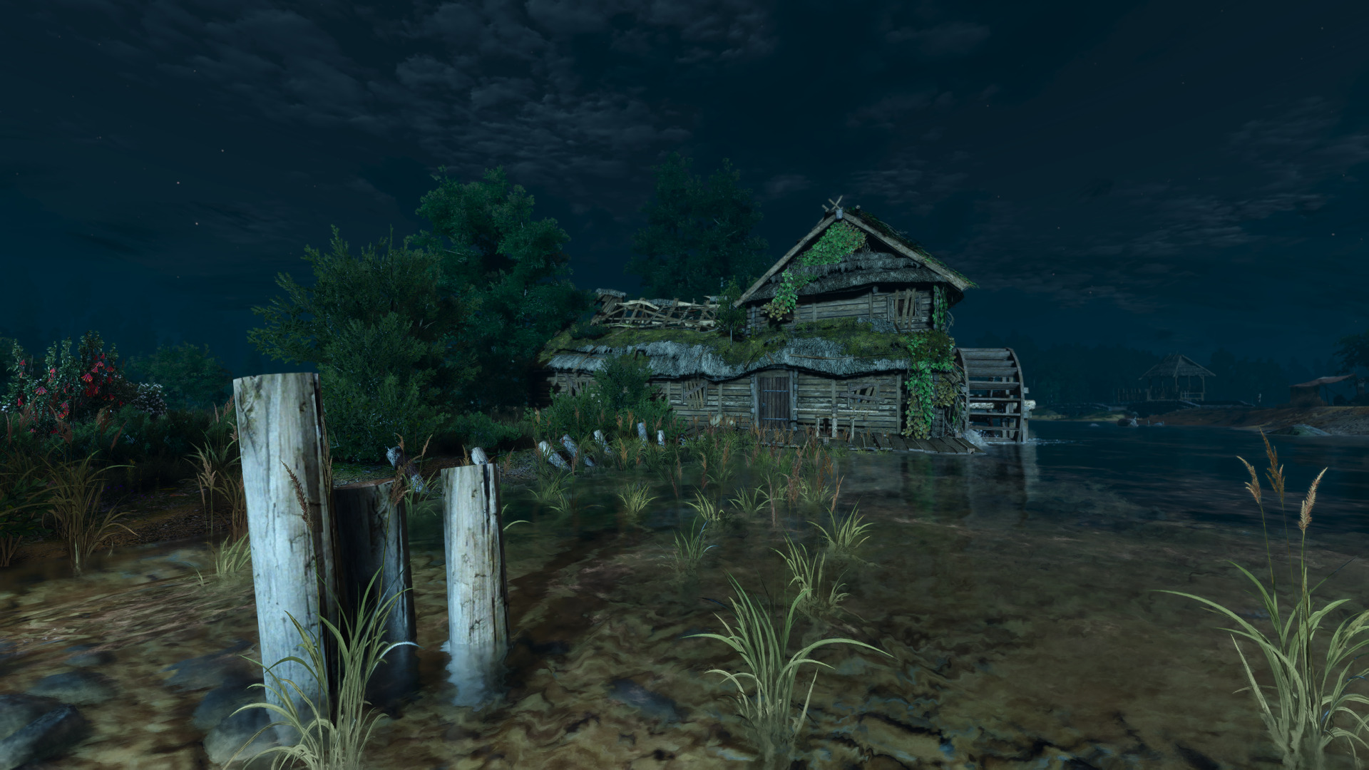 witcher-7.jpg