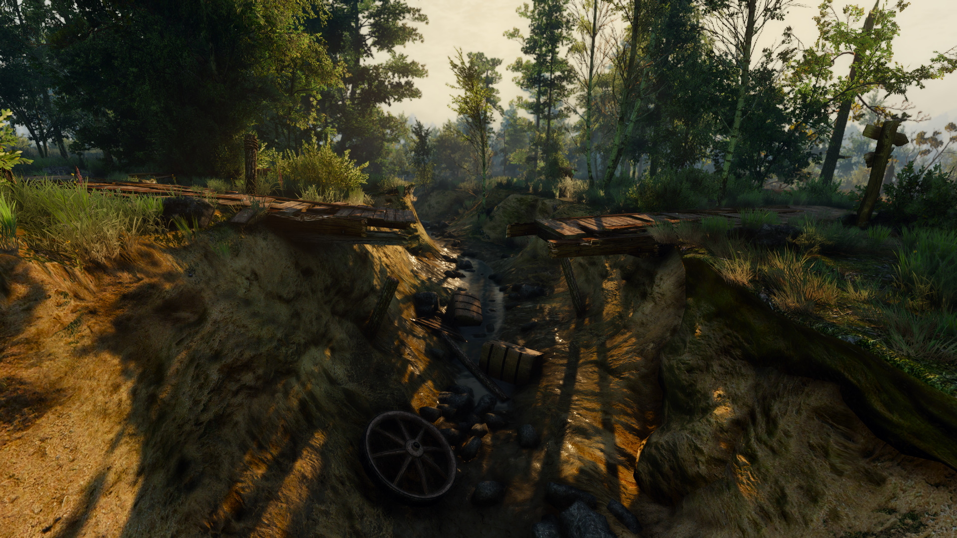witcher-8.jpg